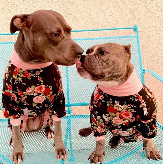 Screen Shot 2025-12-06 at 5.05.38 PM.png