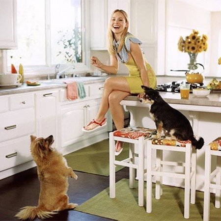Kristin Bell, her dogs, and Benjamin Moore's "Swiss Coffee" on the walls, "Simply White" on the cabinets.&nbsp;