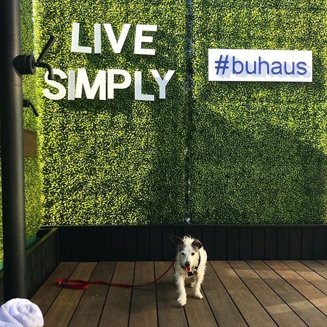 Inspiring, beautiful things at today’s @westedgedesign fair! ✨✨✨✨ #buhaus.